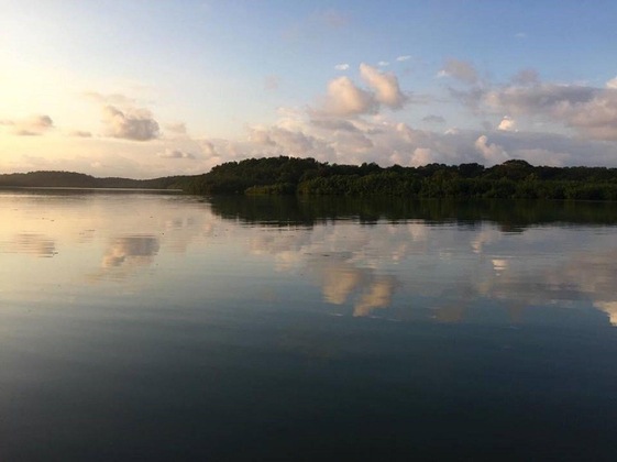Gallery - Hotel La Isla