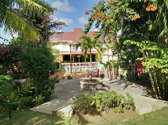 Gallery - Coco Palm