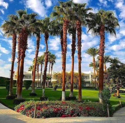 Gallery - Monte Carlo Sharm Resort & Spa