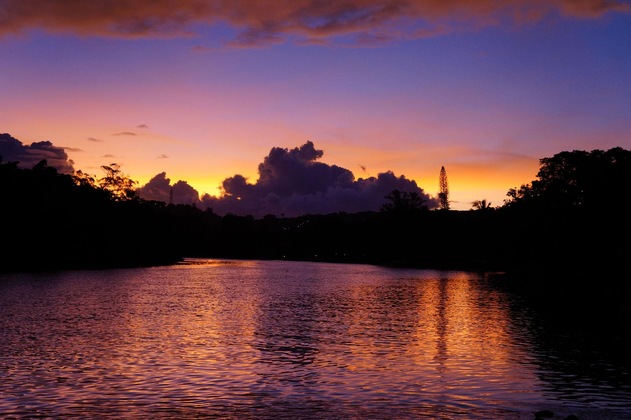 Gallery - Lagoon Gardens