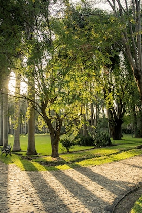 Gallery - Hacienda San Gabriel De Las Palmas