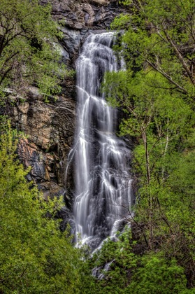 Gallery - Best Western Black Hills Lodge