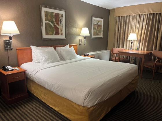 Gallery - Surestay Plus Hotel By Best Western Seven Oaks