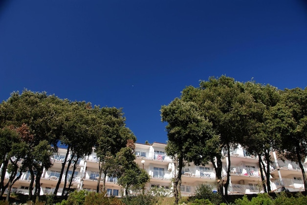 Gallery - Splendid Resort