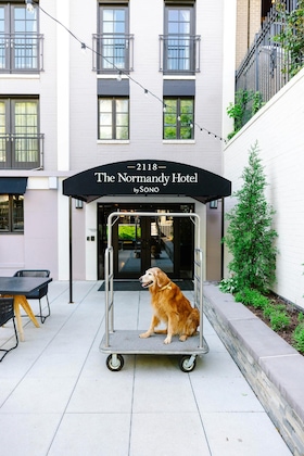 Gallery - The Normandy Hotel