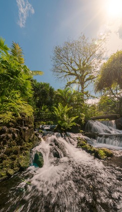 Gallery - Tabacón Thermal Resort & Spa