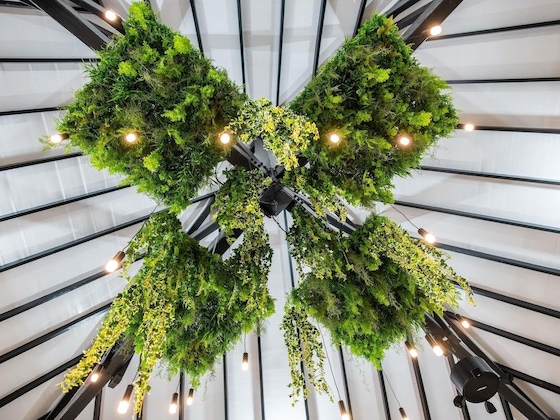 Gallery - Hotel Amazonia