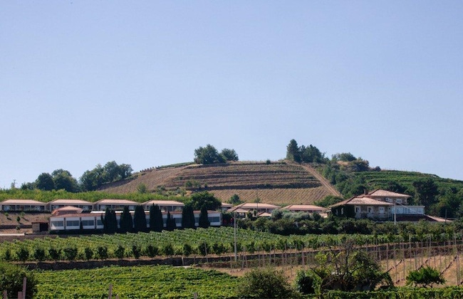 Gallery - Quinta da Barroca