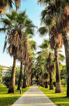 Gallery - Miramare Beach Hotel