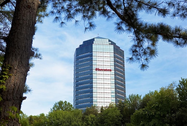 Gallery - Sheraton Tysons Hotel