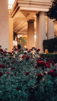 Gallery - Palazzo Hotel
