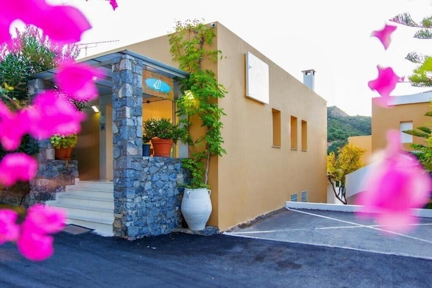 Gallery - Xidas Garden