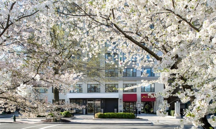 Gallery - Canopy By Hilton Washington Dc Embassy Row