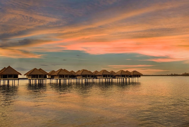 Gallery - Golden Palm Tree Sepang