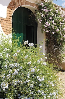 Gallery - Monte Da Corte Ligeira
