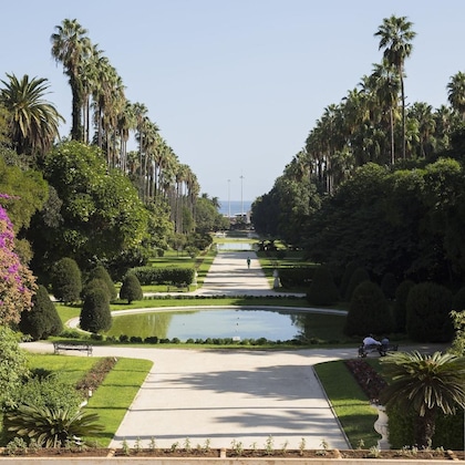 Gallery - Sofitel Algiers Hamma Garden