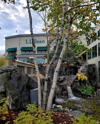 Gallery - Hilton Garden Inn Freeport Downtown
