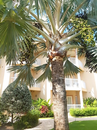 Gallery - Holiday Inn Resort Grand Cayman By Ihg
