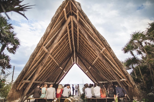 Gallery - Papaya Playa Project