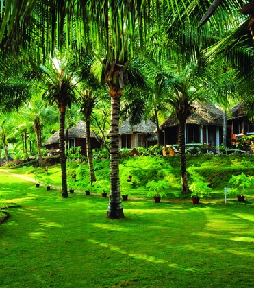 Gallery - Soma Manaltheeram Ayurveda Beach Village