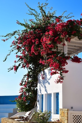Gallery - Folegandros Apartments