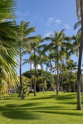 Gallery - Luana Waikiki Hotel & Suites