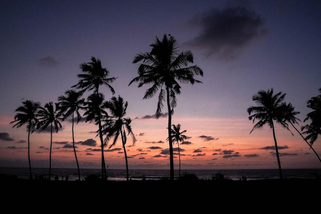 Gallery - Longuinhos Beach Resort