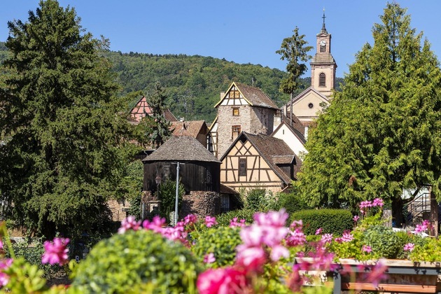 Gallery - Best Western Hotel & Spa Le Schoenenbourg