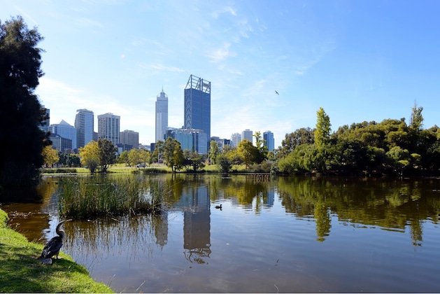 Gallery - Ausotel By Argyle Kings Park