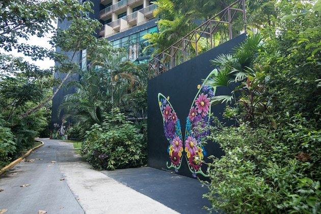 Gallery - Summit Rainforest & Golf Resort