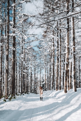 Gallery - The Westin Rusutsu Resort