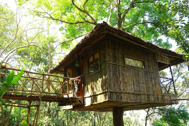 Gallery - Greenwoods Resort