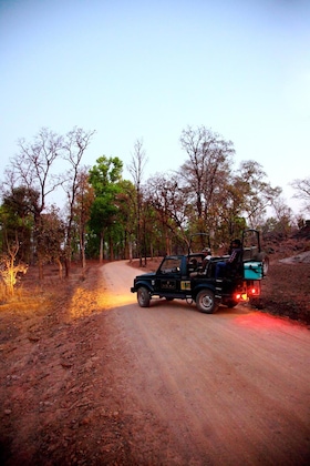 Gallery - Tuli Tiger Resort