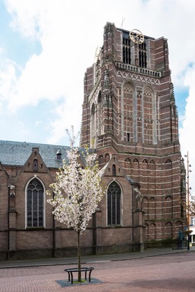 Gallery - A-Hotel Oosterhout