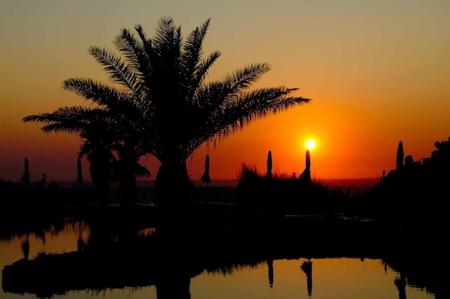 Gallery - Suvaki Resort