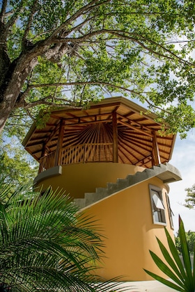 Gallery - Hotel Boutique Lagarta Lodge