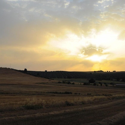 Gallery - Cortijo El Guarda