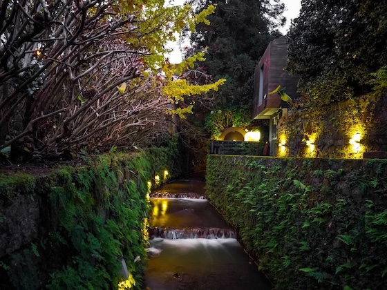 Gallery - Quinta Da Mó