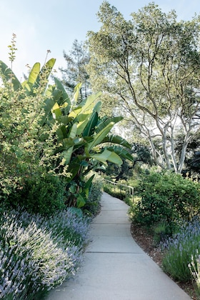 Gallery - Ventana Big Sur, An Alila Resort