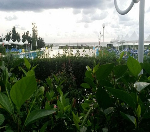 Gallery - Bizerta Resort