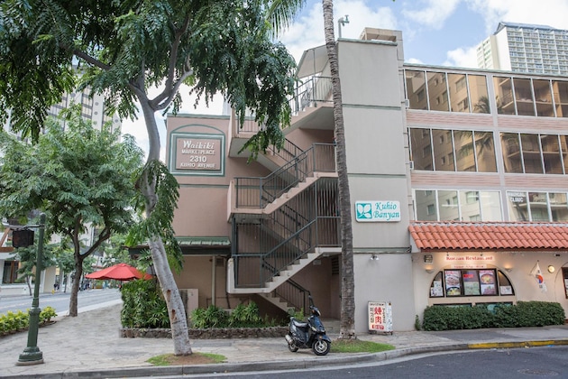 Gallery - Kuhio Banyan