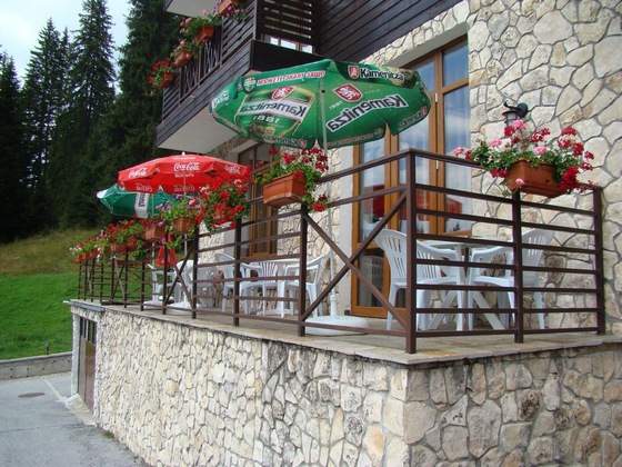 Gallery - Stream Resort