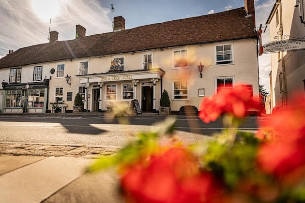 Gallery - Dog & Bear Hotel
