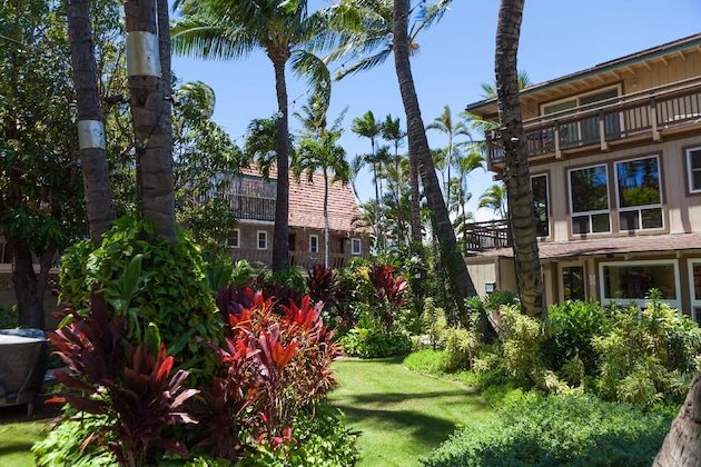 Gallery - Kohea Kai Hotel Maui