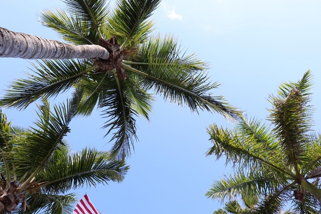 Gallery - Capt Hiram's Resort