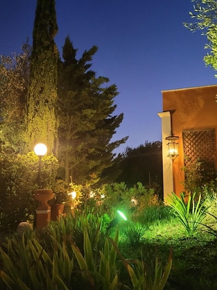 Gallery - Poggio Degli Ulivi