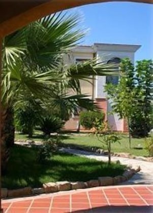 Gallery - L'ulivo