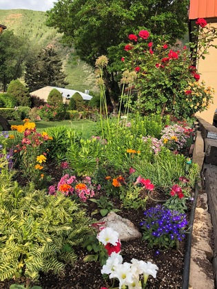 Gallery - Glenwood Springs Cedar Lodge