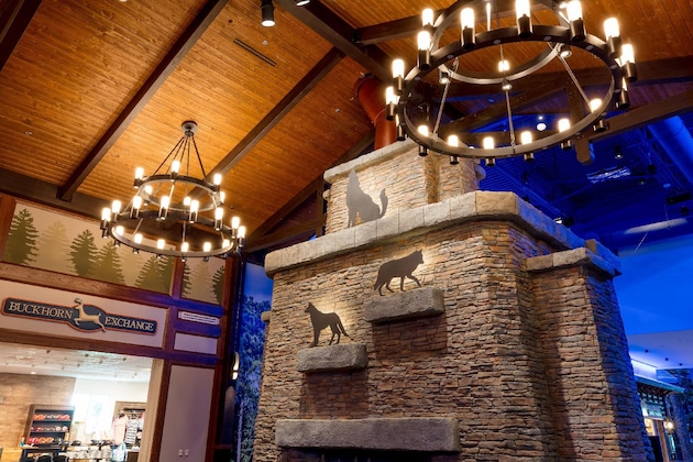 Gallery - Great Wolf Lodge Illinois