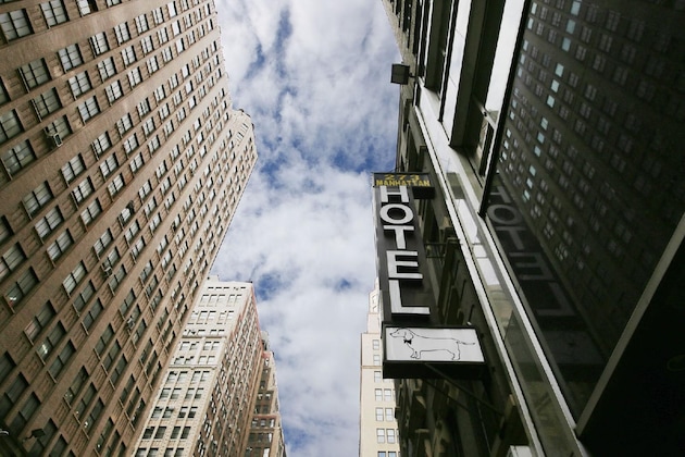 Gallery - Doxie Hotel